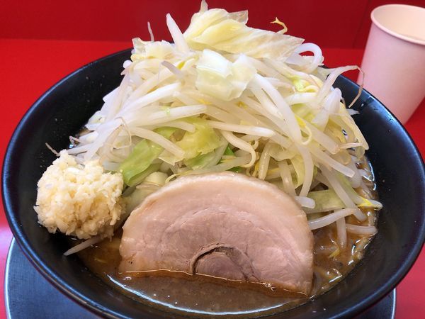 「味噌ラーメン並（780円）ヤサイニンニク」@ジャンクガレッジ 北浦和店の写真