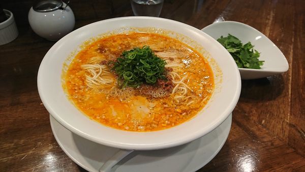 「担担麺 パクチー盛り」@創作麺工房 鳴龍の写真