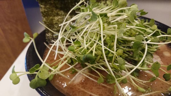 「チャーシュー麺 並」@かわむら家の写真