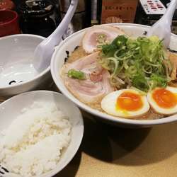しょうゆ味玉子ラーメン