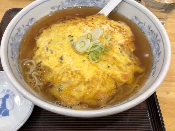 「天津麺」@ぎょうざの満洲 新所沢東口本店の写真