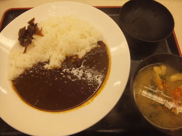 「オリジナルカレー380円(クーポンで350円)」@松屋 赤坂店の写真