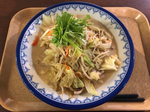 「野菜たっぷりちゃんぽん」@ちゃんぽん 菜の里 Pasar羽生店の写真