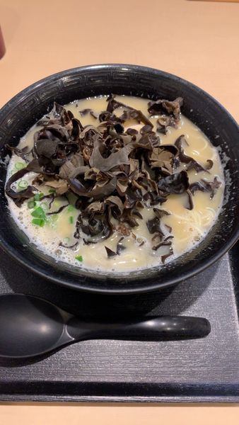 「きくらげそば      あっさり」@鶏そば壽の写真