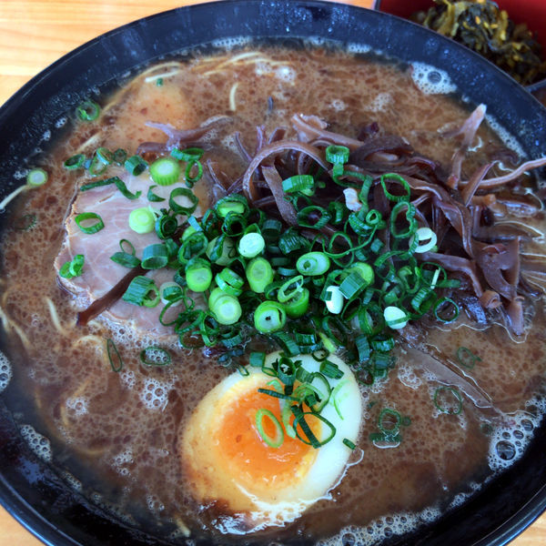 「魚粉豚骨　800円　高菜　100円」@豚骨ラーメン 新井商店の写真