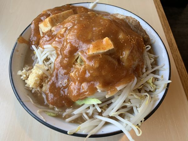 「フュージョン 全増し」@蒙麺 火の豚の写真