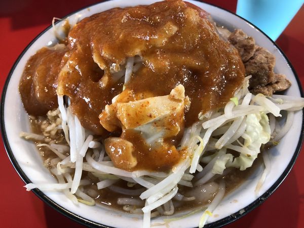 「フュージョン全マシ」@蒙麺 火の豚の写真