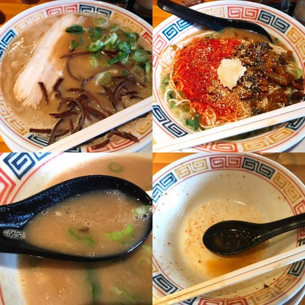 「醤油とんこつ【700円】」@とんこつ らい斗の写真