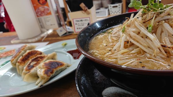 「塩ラーメン」@くるまやラーメン 東松山店の写真