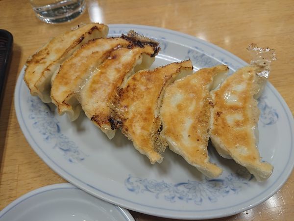 「【限定】美保野ポークの肉野菜ラーメンと餃子セット864円」@ぎょうざの満洲 志木東口店の写真