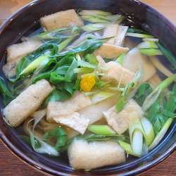 きざみうどん730円