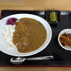 家ごはん れんこんの画像