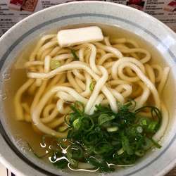 かけうどん