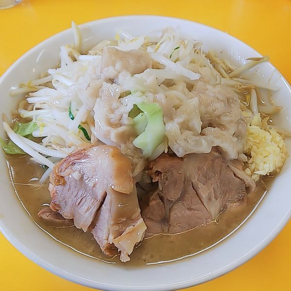 「ミニラーメンニンニクアブラ生唐辛子」@ラーメンエース 八王子店の写真