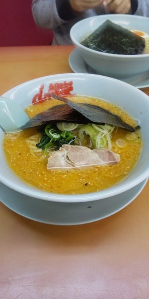「特製味噌ラーメン」@ラーメン山岡家 ひたちなか店の写真