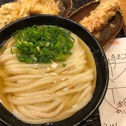 かけうどん