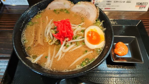 「雪室酒かすみそラーメン 880円」@蒲公英拉麺 YAMATOの写真