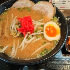 蒲公英拉麺 YAMATOの画像