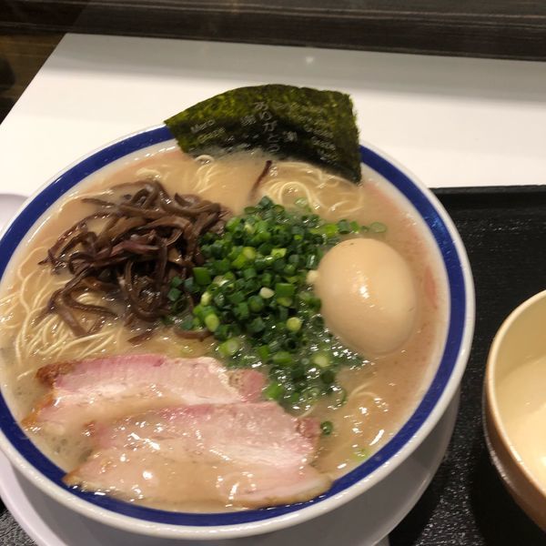 「味玉らーめん」@中華そば専門 田中そば店 ダイバーシティ東京プラザ店の写真