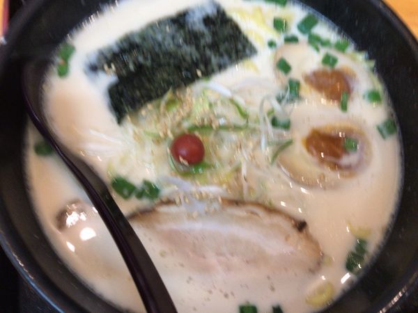 「博多とんこつ煮玉子700円+餃子クーポン無料」@こだわり麺家 谷津亭の写真