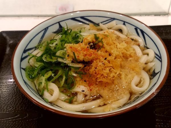 「かけうどん(並盛)290円」@丸亀製麺 イーサイト高崎店の写真