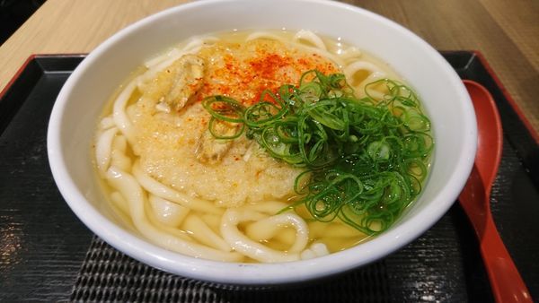 「こぼう天うどん」@因幡うどん 福岡空港店の写真