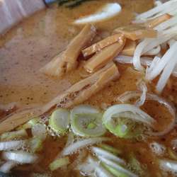 豚骨醤油ラーメン