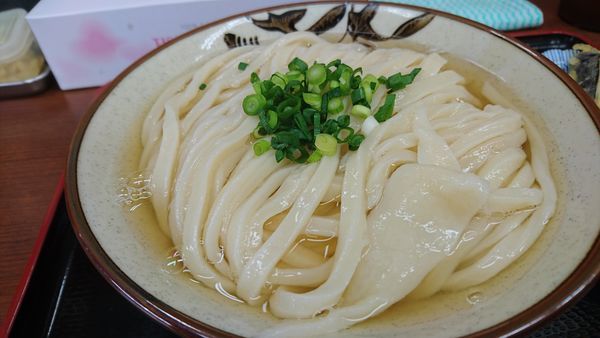 「ひやあつ中 400円」@讃岐うどん いわいの写真