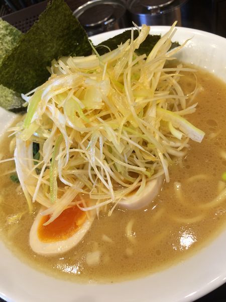 「ネギラーメン中盛」@らーめん よし坊の写真