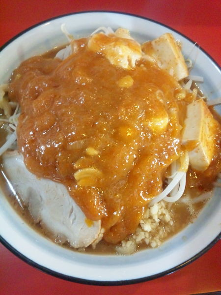 「フュージョン800円」@蒙麺 火の豚の写真