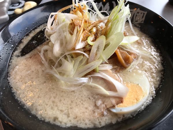 「嵐げんこつラーメン塩（シャキネギ）」@らあめん花月嵐 ひたちなか高場店の写真