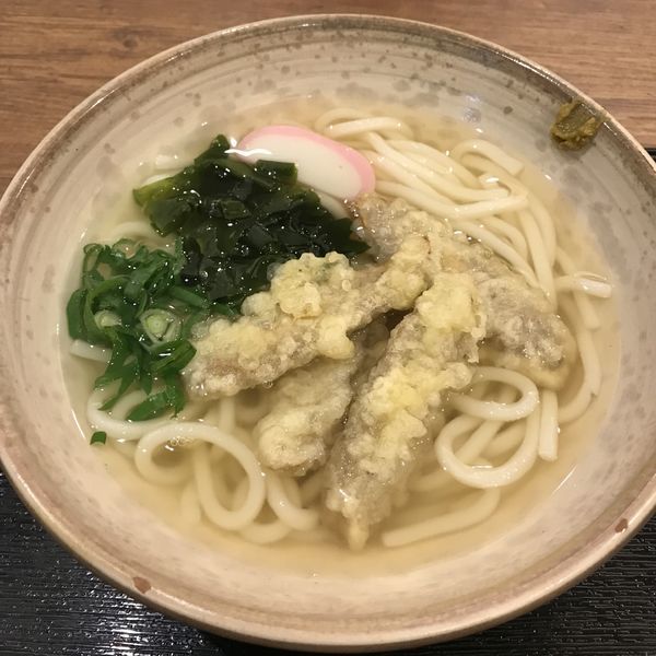 「ごぼ天うどん（￥600）」@博多うどん よかよか 有楽町店の写真