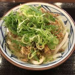【店舗限定】ごぼう天うどん（￥430）