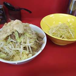 麺半分豚2枚+ネギ（味ネギ）