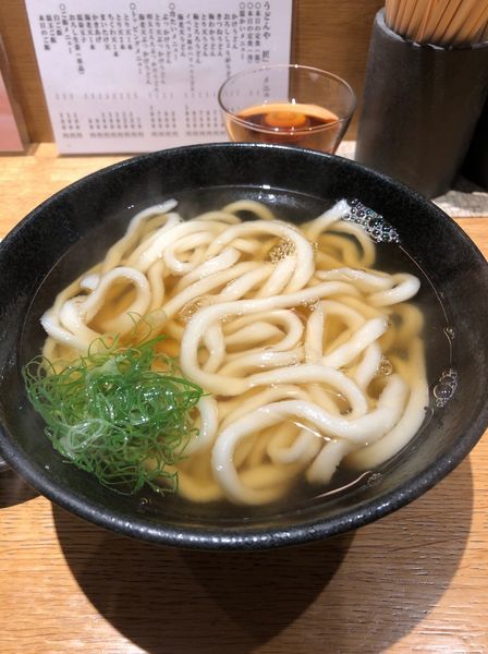 「かけうどん」@うどんや匠の写真