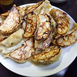 焼ぎょうざ（4人前、写真は3人前）　1人前390円