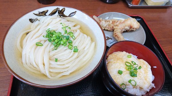 「ひやあつ中 400円 とろろめし 100円 げそ天 150円」@讃岐うどん いわいの写真