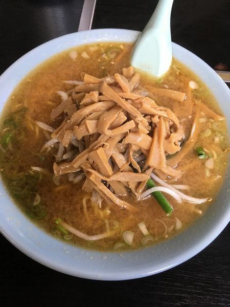 「ミソラーメン メンマ」@宝珍の写真