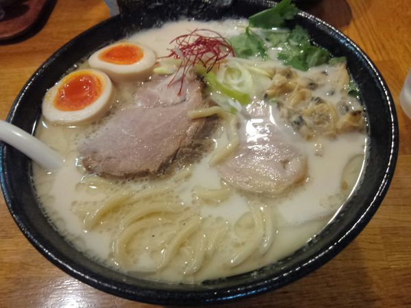 「【限定】あさり白湯 ￥800」@麺屋 鶏口の写真