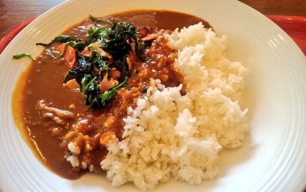 「ポークカレー＋ほうれん草」@カレーの王様 市ヶ谷店の写真