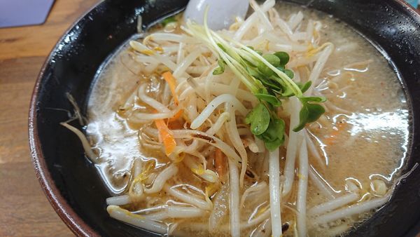 「塩ラーメン」@くるまやラーメン 東松山店の写真