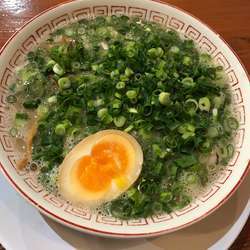だるまラーメン ネギ増し