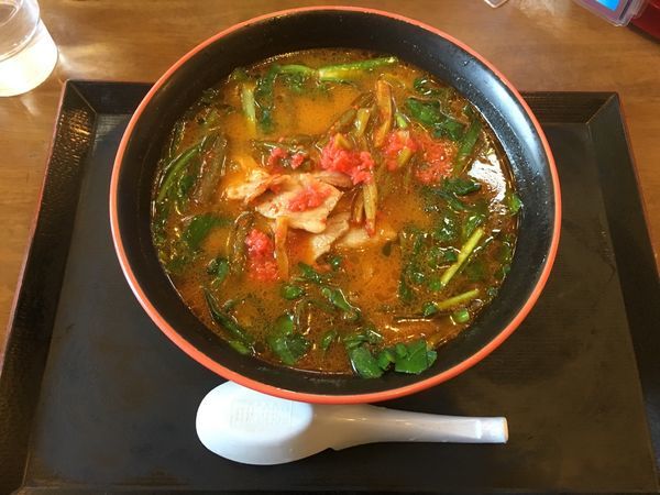 「満州にらラーメン(600¥)」@さかえや本店の写真