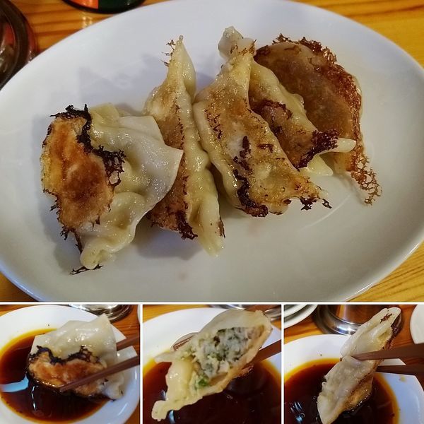 「餃子(5個)　400円」@ニュー菜苑の写真
