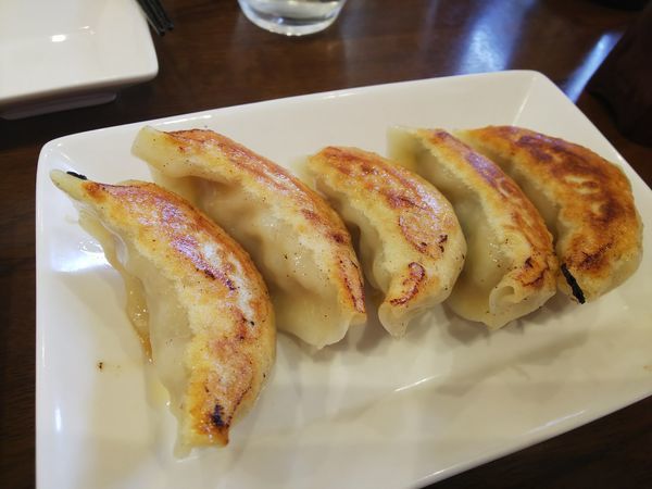 「焼餃子　250円」@麺処・餃子処 TESHIの写真