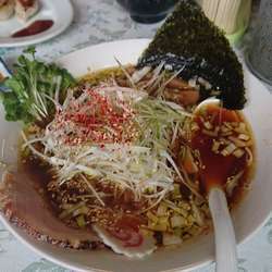 極旨ネギ醤油ラーメン