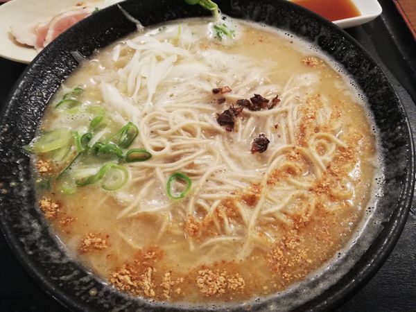 「朝びき　あっさり鶏そば」@鶏そば 本店の写真