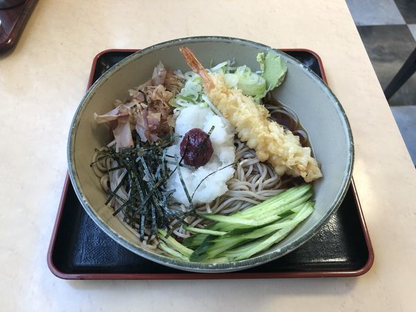 「天付き冷し梅おろしそば」@名代 箱根そば 成城学園前店の写真