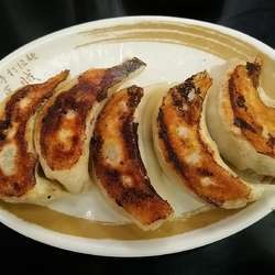 餃子(5個)　500円