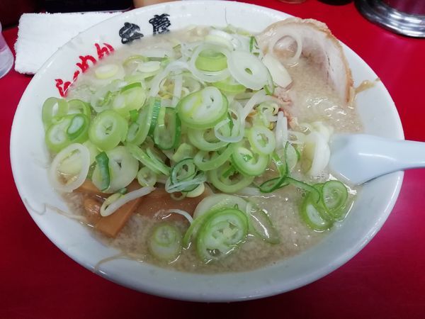 「ラーメン白ノーマル」@らーめん弁慶 浅草本店の写真
